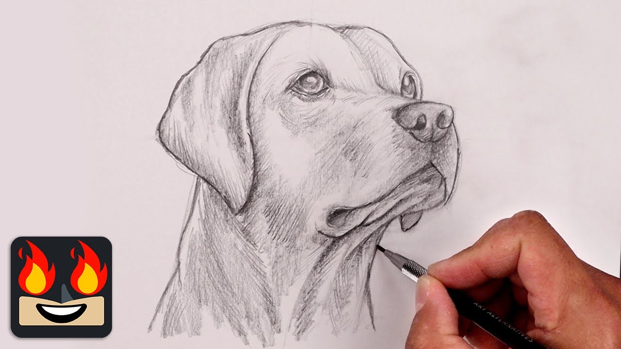 Custom Pet Portrait - Classic Sketch By Remarkebly